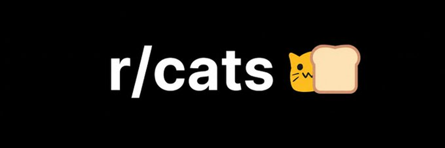 Bread Cat banner